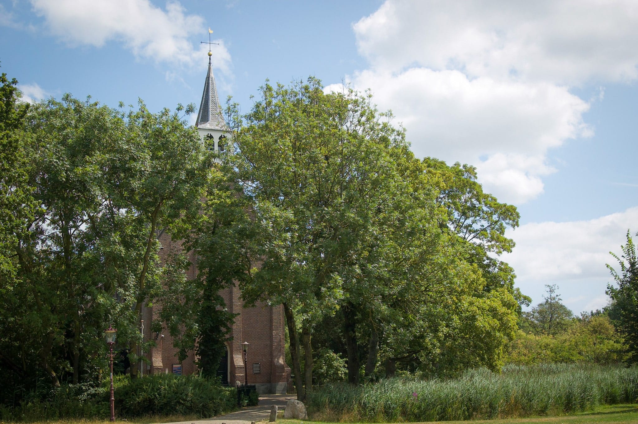 Buiksloot